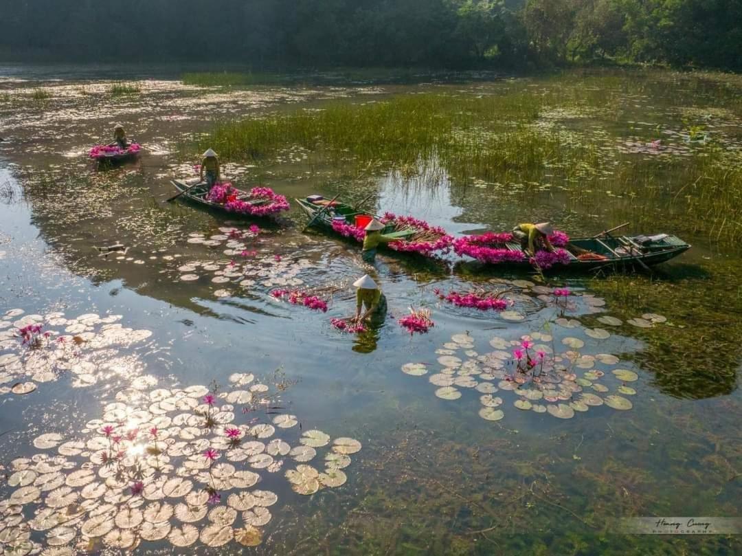 Tam Coc Paradise Homestay Ninh Binh Bagian luar foto